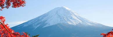 logo de las praderas